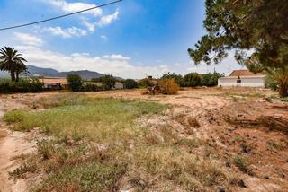 Residential Plot in Pozo Higuera