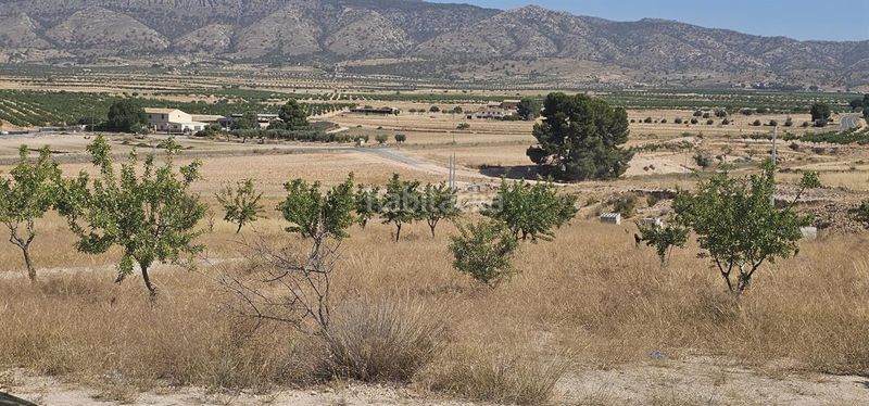 Foto df776d54-601c-42e3-9bce-da3e994503a0. Xalet amb piscina a Jumilla