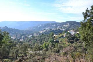 Terreny residencial  Alzina. Parcela con muchas posibilidades, amplia superficie. ideal para