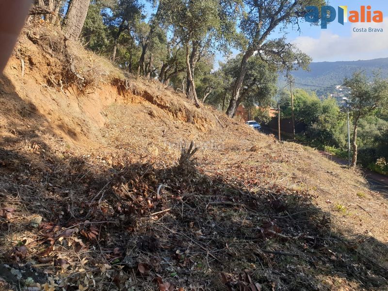 Foto 1b1c17dd-bb9b-40cd-a359-aaedf5b3f6f3. Terreny residencial a om 25 a Mas Pere-Río de Oro Calonge