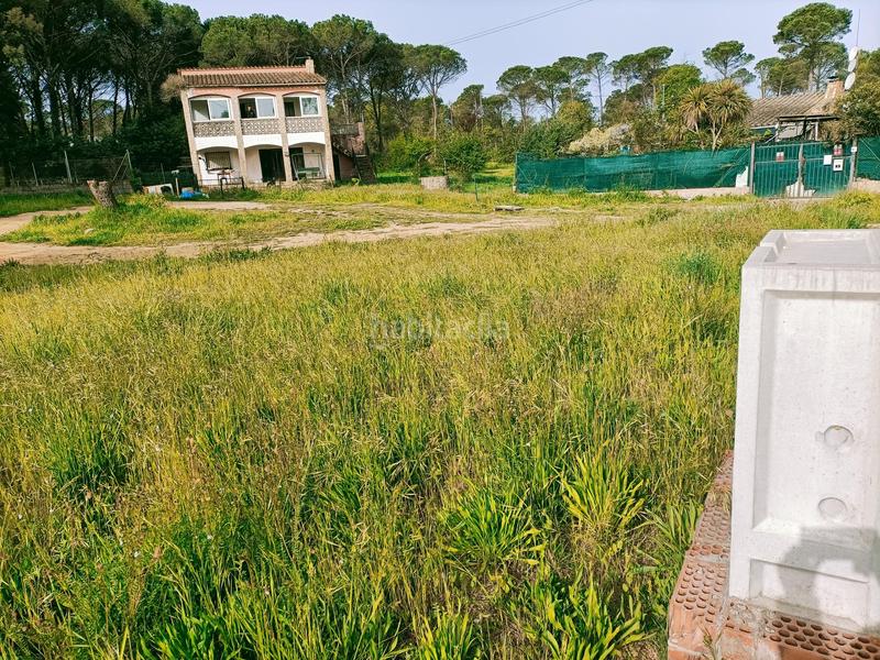 Foto e49733ae-ea5f-4ec4-b2ef-7eac323750eb. Wohngrundstück in Llagostera