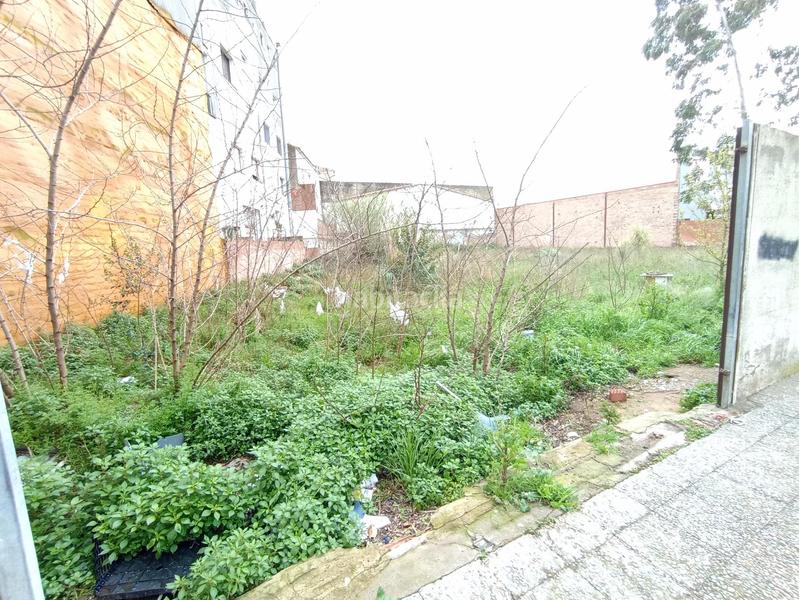 Foto 037d83c5-d19d-4a8c-a51b-b72bac17cfae. Terrain industriel dans del mestre sagrera 3 dans La Punxa Palafrugell