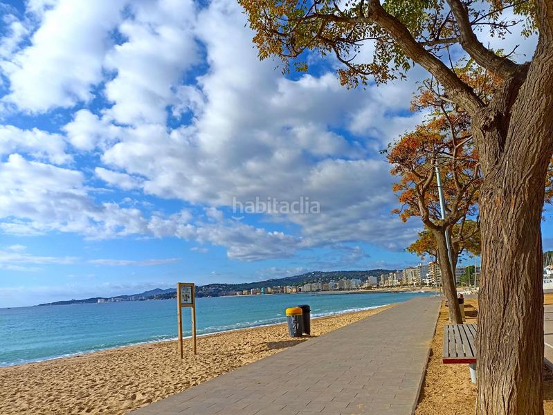 Foto a0f01008-fe71-404a-8efb-cba514d607eb. Àtic amb calefacció aparcament a Avinguda Catalunya Palamós