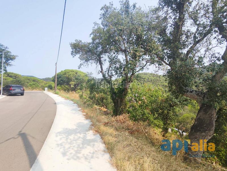 Foto d002a49a-9440-4605-840d-5455a85929cd. Terreno residencial parcela de 756m2 en urbanización mas pere en Calonge