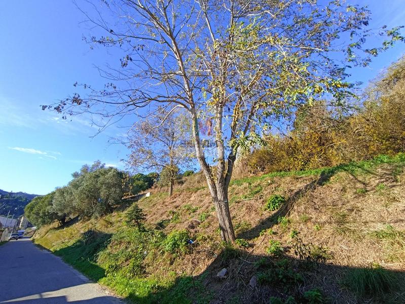 Foto 1de1ca48-4838-428c-90e9-1372ee1a92ef. Terreny residencial a bujonis a Vilartagues-Tueda de Dalt Sant Feliu de Guíxols