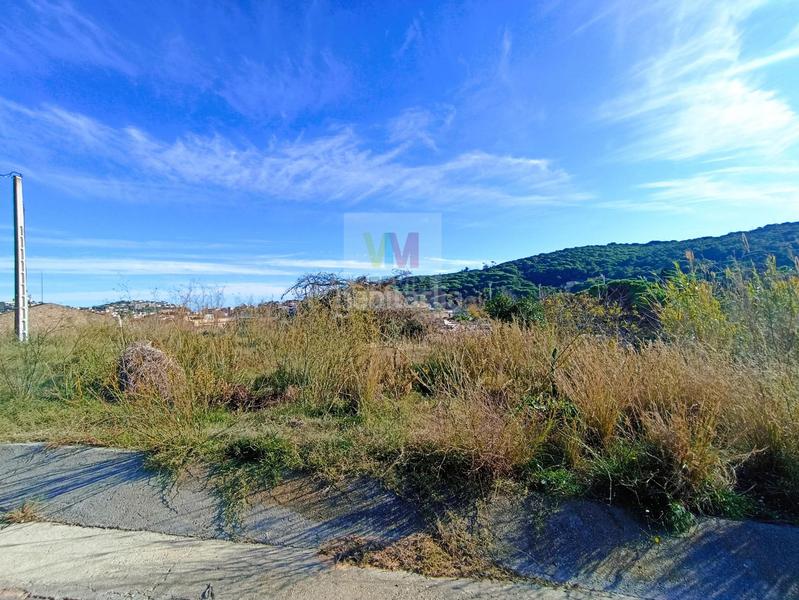 Foto 4fddb986-222b-42c9-bb35-e7cadb4e31e4. Terreny residencial a bujonis a Vilartagues-Tueda de Dalt Sant Feliu de Guíxols