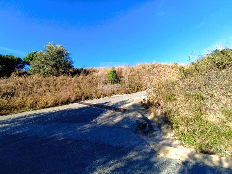 Foto 5252e66a-ab80-483e-81b9-35fdcf35d496. Terreny residencial a bujonis a Vilartagues-Tueda de Dalt Sant Feliu de Guíxols