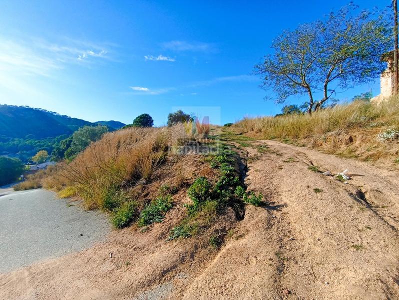 Foto 8acde43a-db61-4c47-8036-fd9621f31f87. Terreny residencial a bujonis a Vilartagues-Tueda de Dalt Sant Feliu de Guíxols
