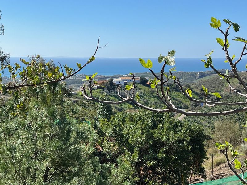 Foto 69a3c19f-cde1-4aef-9a19-8476ef81eca0. Xalet amb calefacció aparcament piscina a Camino Viejo de Málaga Vélez - Málaga