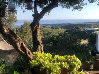 Xalet  Diseminado almayate alto, polígono 36, parcela 4-. Vivienda unifamiliar con finca en producción