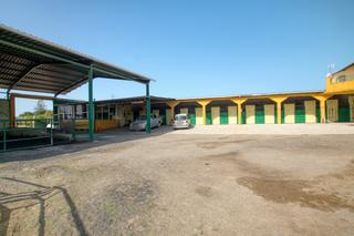Mas  Finca el coronel. Centro hípico con vivienda y zonas recreativas