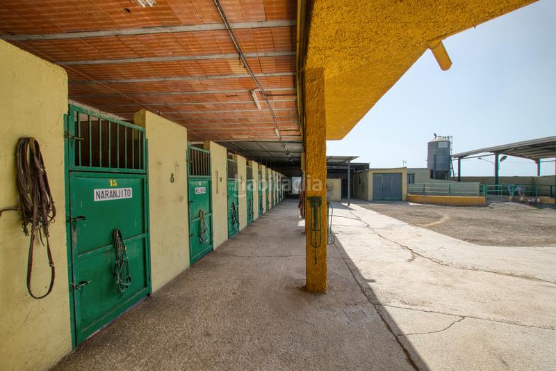 Foto 3d7cadb5-95c2-4c68-b908-e308181c7a51. Country house with pool in El Tomillar Torre del Mar