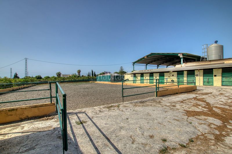 Foto 02c8a9c2-8a5a-4c56-ac71-4a7bfd6a6999. Masia amb piscina a Camino Viejo de Málaga Vélez - Málaga