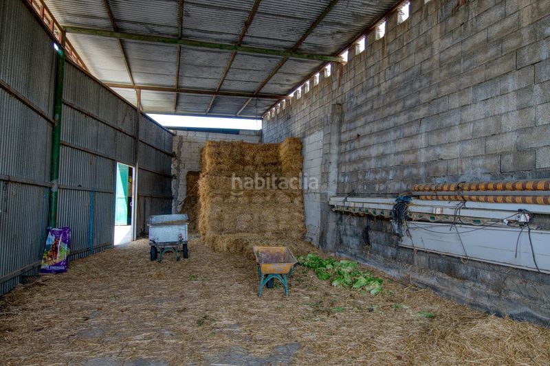 Foto beaedb83-7aa5-4929-8bd1-eb8b7be87d44. Masia amb piscina a Camino Viejo de Málaga Vélez - Málaga