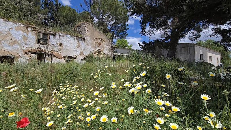 Foto 997a8285-b833-4fe1-b3ce-88f403e66747. Finca rústica a Setenil de las Bodegas