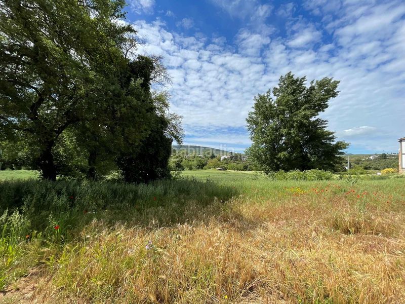 Foto c8c5bbce-20d2-46cd-8b25-a5267168e996. Finca rústica  en huerta del burgo en termino municipal cádiz en Setenil de las Bodegas
