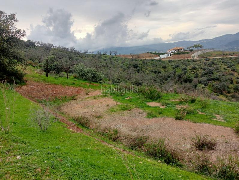 Foto 24634277-54d2-43a0-9f7b-54b82380fcb4. Finca rústica a Guaro