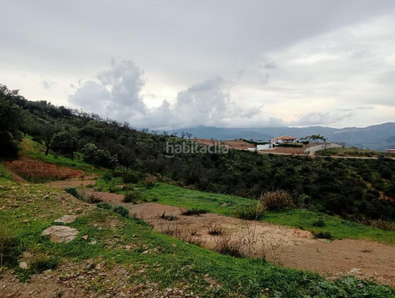 Foto 44c0f2bd-870b-4685-958d-3c45b934c1bd. Finca rústica a Guaro