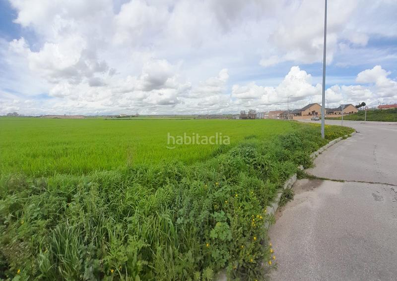 Foto 09033884-ec44-40a7-a137-8c531444b636. Rural plot in Centro-Manguilla Escorial (El)