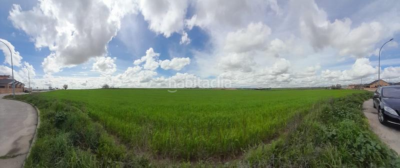 Foto 1a3661d8-f496-4995-9870-2da7a8d533e0. Rural plot in Centro-Manguilla Escorial (El)