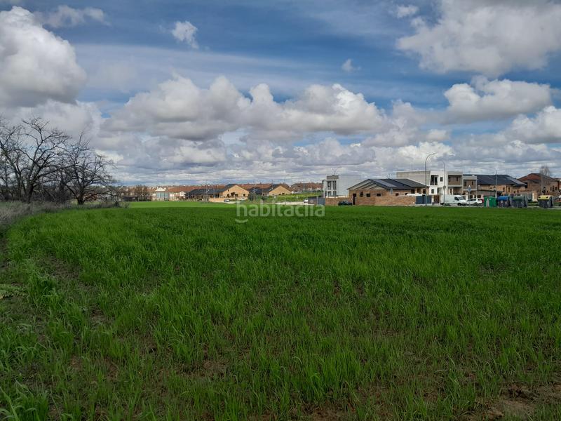 Foto 47ef4fc0-8938-4d38-97a4-54d970e5e50a. Rural plot in Centro-Manguilla Escorial (El)