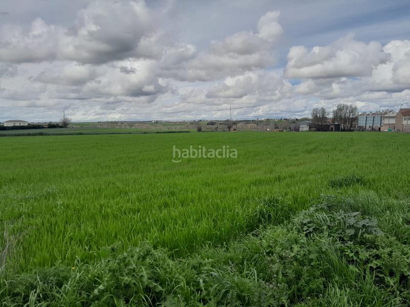 Foto a543b8c1-fbfd-47ea-87fc-debd48dd8b95. Rural plot in Centro-Manguilla Escorial (El)