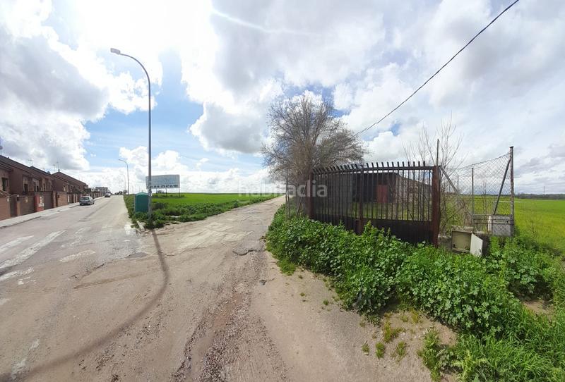 Foto afd425e8-f633-4cbd-8266-0085c52497b4. Rural plot in Centro-Manguilla Escorial (El)