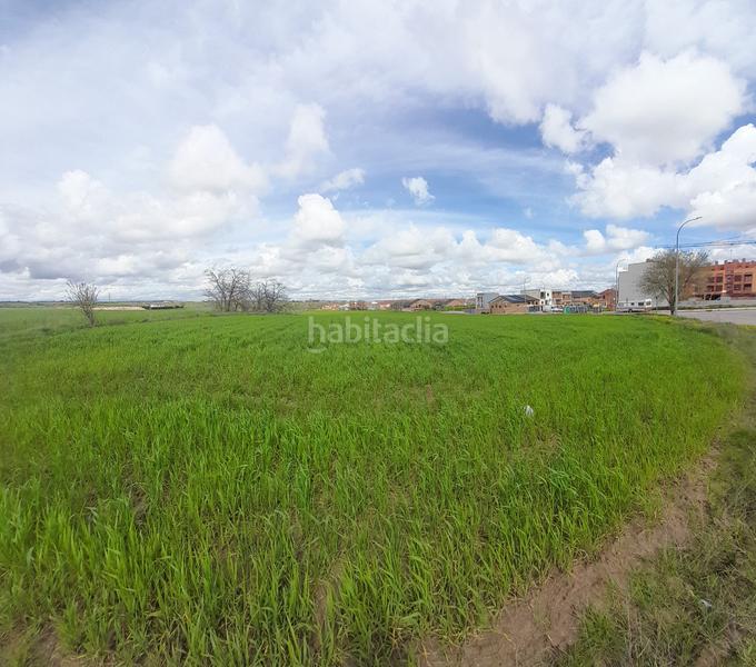 Foto c078d25a-bb57-42f9-b49b-f306330e5512. Rural plot in Centro-Manguilla Escorial (El)
