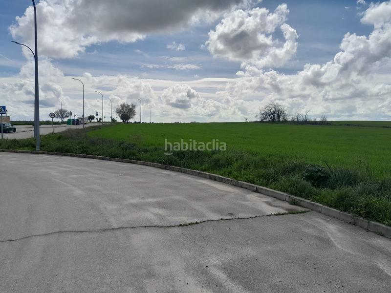 Foto d49037d2-a372-4c80-8685-54adc3fb9a76. Rural plot in Centro-Manguilla Escorial (El)