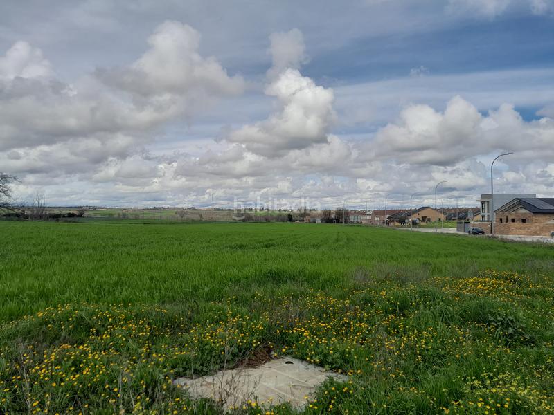 Foto d52bf6cd-f5be-4151-b155-0e02ffabe836. Rural plot in Centro-Manguilla Escorial (El)