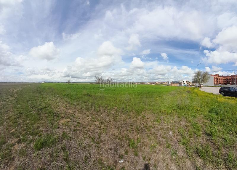 Foto e25f942e-2ff9-479a-a71f-10f3ac9d1e55. Rural plot in Centro-Manguilla Escorial (El)