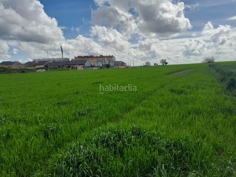 Foto ebe1cd5a-76b1-49f8-bae6-de5cb2d73fe5. Rural plot in Centro-Manguilla Escorial (El)