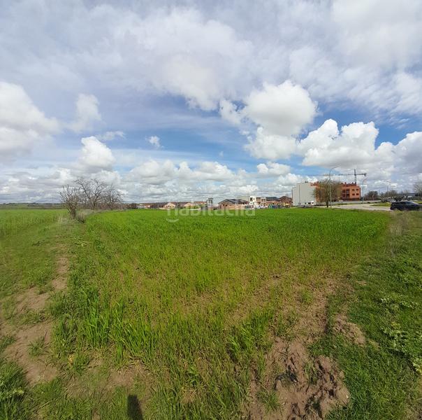 Foto ec4d0327-124b-468f-b9a5-66d858e8237c. Rural plot in Centro-Manguilla Escorial (El)