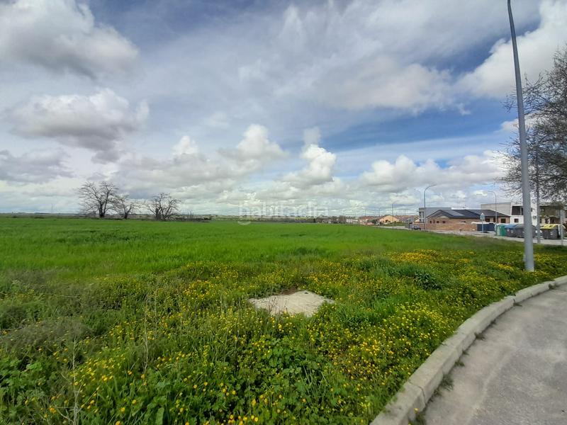 Foto f79d12cb-85ac-45d5-a963-deef28a8d7a6. Rural plot in Centro-Manguilla Escorial (El)