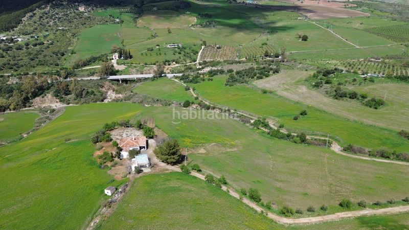 Foto 1ab00a35-47ce-44f4-977b-f8241d9aef54. Finca rústica a Montecorto
