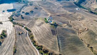 Rural plot  Pd montecorto 1468 polígono 12 parcela 124. Magnífica parcela rústica lista para explotar