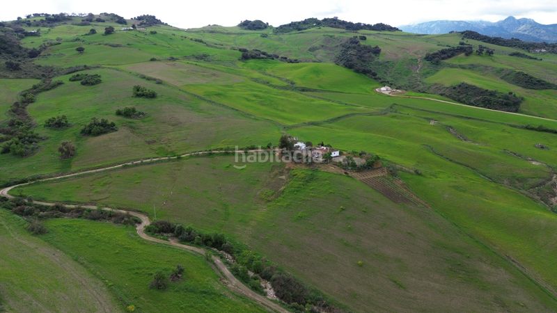 Foto 8b3d569a-ab2b-4aad-b85a-ffcb22ab7e0a. Finca rústica a Montecorto