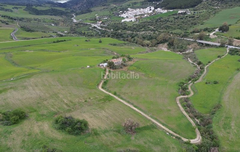 Foto 93873959-831e-41ad-b1fd-699d28caa676. Finca rústica a Montecorto