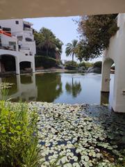 Geschäftsraum in Conjunto El Capistrano Playa, Urb Chimenea