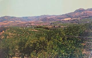 Finca rústica  Pileta,álora. Terreno en álora