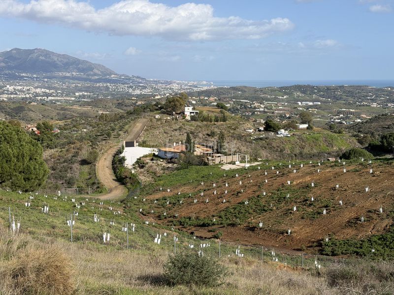 Foto 866e8b68-7573-4550-9ade-598ac1f7ba94. Masia a La Cala Golf - Lagar Martell Mijas