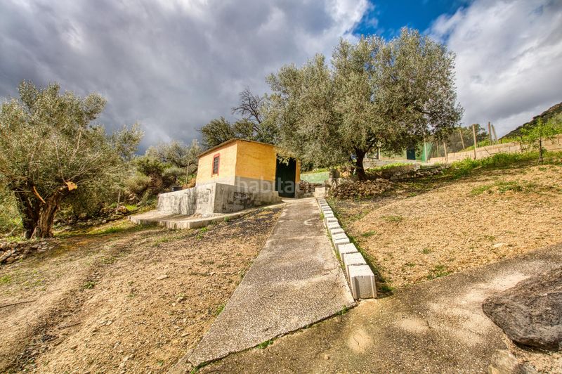 Foto d9e04b94-35f9-42a8-b872-cbb0b6620330. Masia amb piscina a Alcaucín
