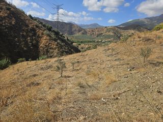 Fondo rustico  S/n el molino  #s/n. Terreno en venta en casarabonela