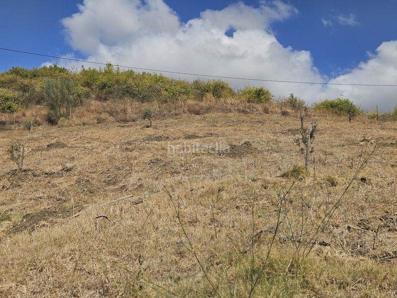 Foto c0f1a241-6f4c-454e-b8bc-b9d419f1e194. Finca rústica a Casarabonela