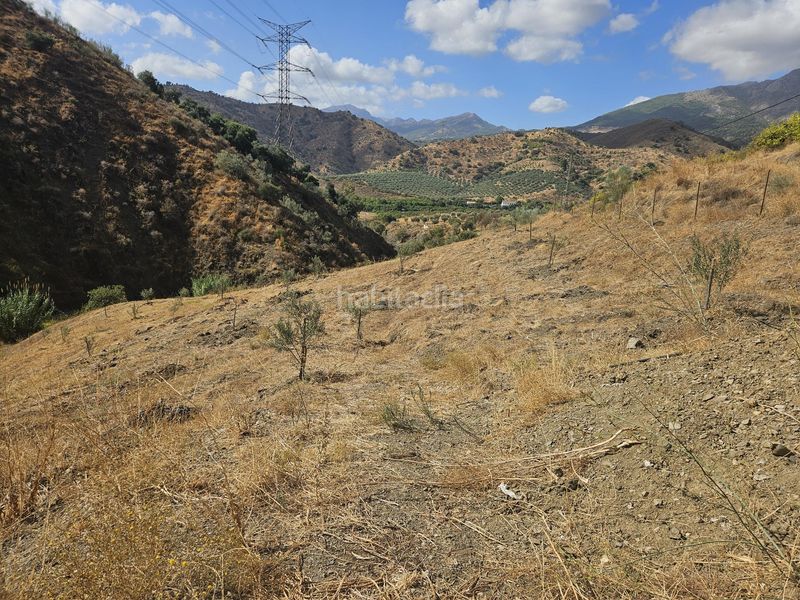 Foto d8d2cbf7-47de-4abf-9639-dc2b1011198e. Finca rústica a Casarabonela