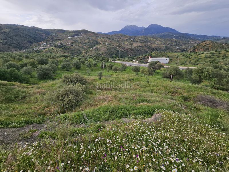 Foto 141f2231-a9f3-4510-8c65-e3321d05b71c. Finca rústica a Tolox