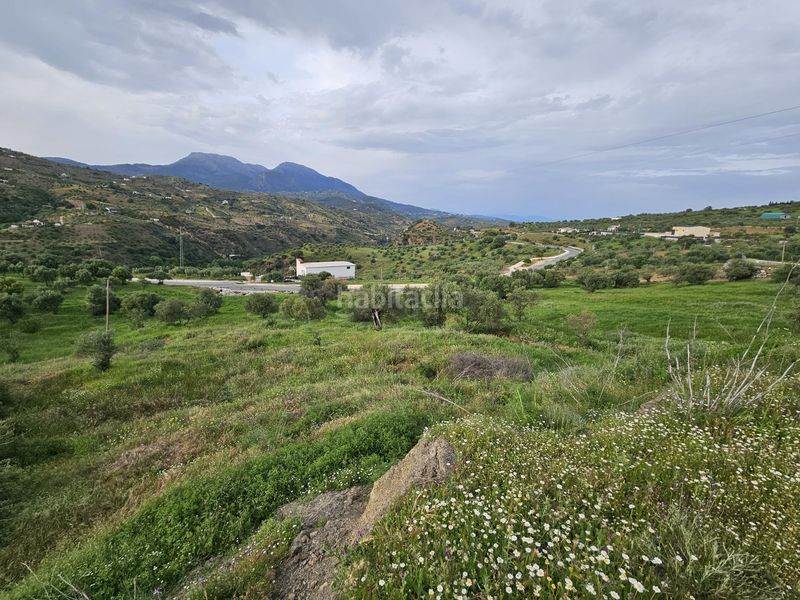 Foto 396b6d79-4d19-4bdd-bc4e-5dad872dacb6. Finca rústica a Tolox