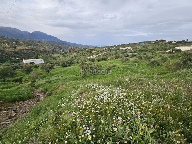 Foto c3a9e33b-0b5a-41d3-b25f-cf51cce3dd59. Finca rústica a Tolox