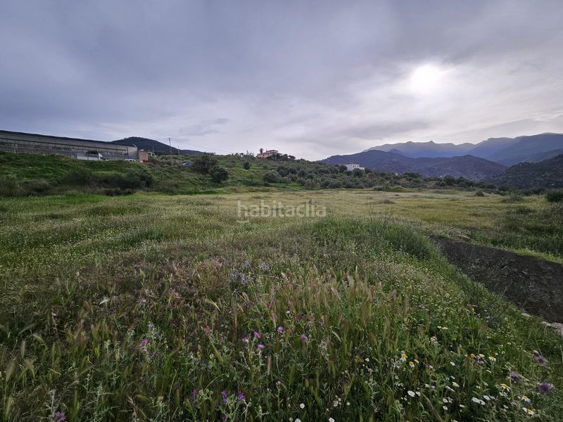 Foto cd535570-ca91-4d00-9cb8-603e8432daee. Finca rústica a Tolox