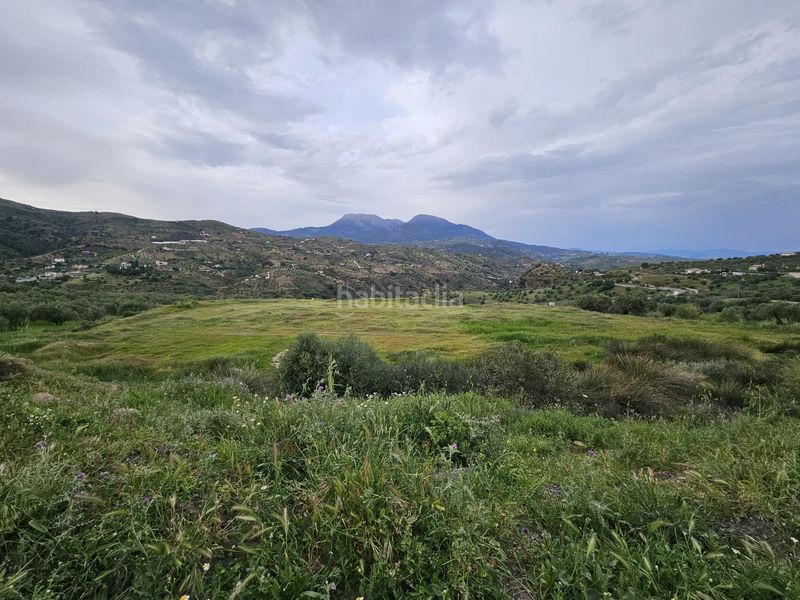 Foto df9cf318-f070-4109-b28a-27929e7c22d5. Finca rústica a Tolox